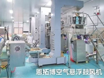 食品廠空氣凈化鼓風(fēng)機(jī)