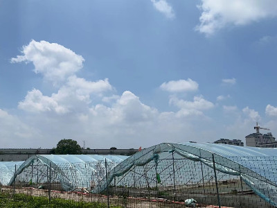 恩拓博高速增氧機上海使用案例！